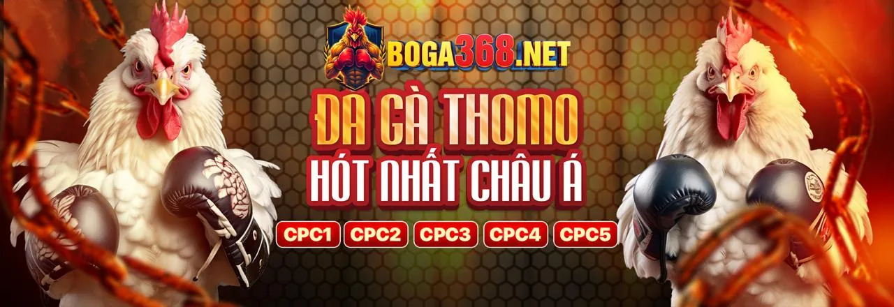 Đá gà trực tuyến kịch tính tại hy88 link mới nhất